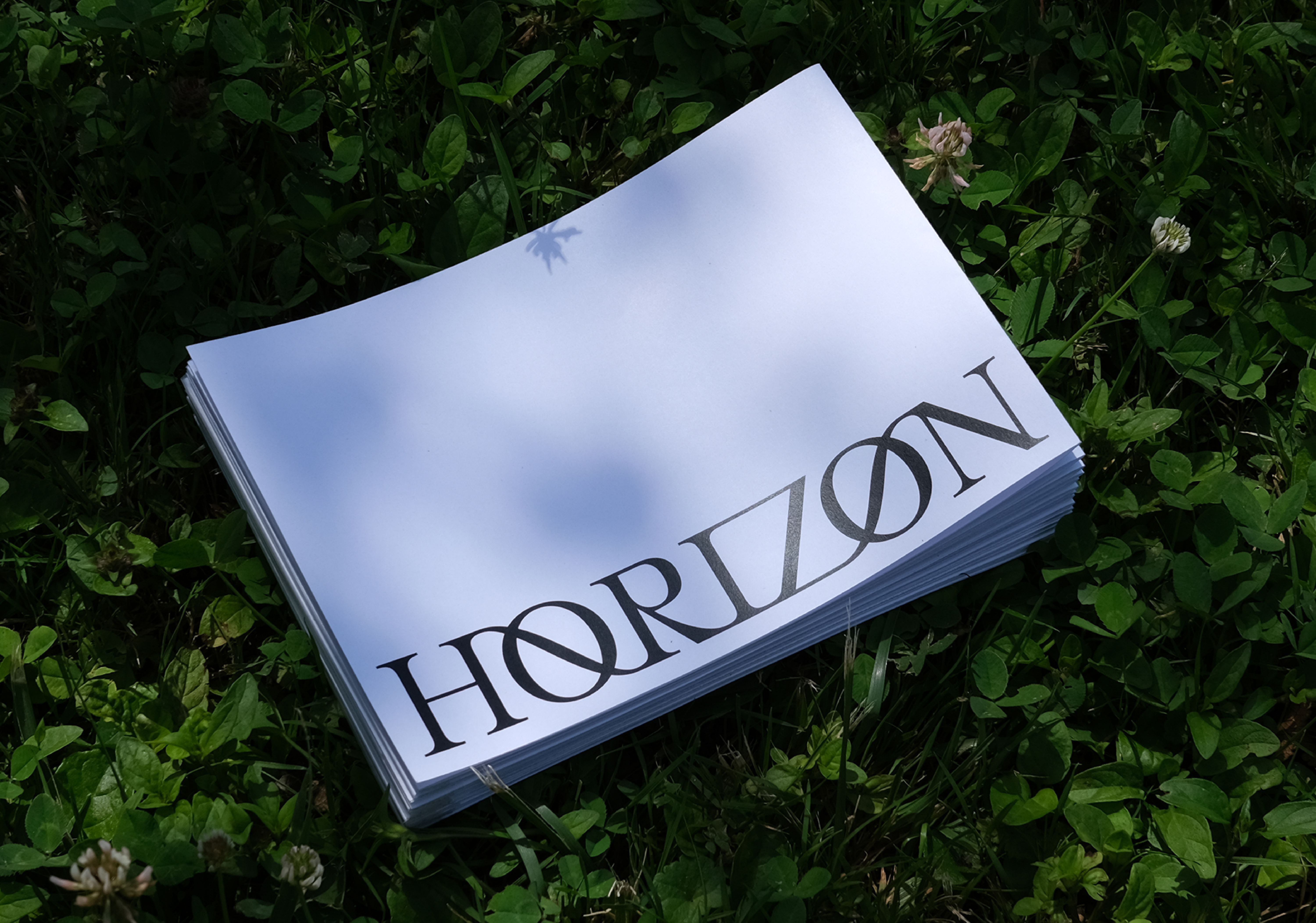 Horizon